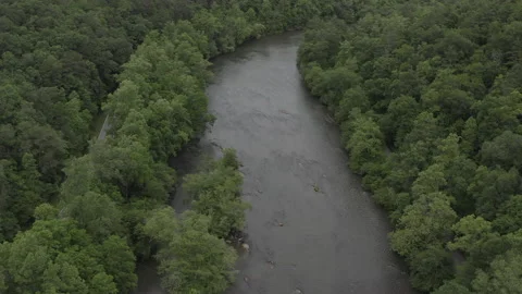 Aerial slow forward track over forested river Stock Footage 133090737