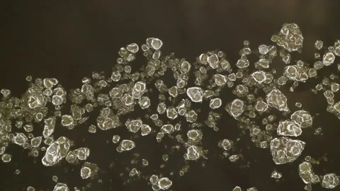 Aerial: slow ice drift down the river Stock Footage 169285923