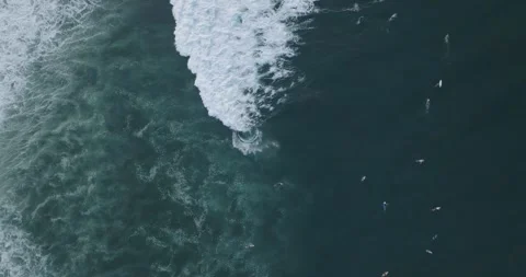 Aerial Slow Motion Drone View of Surfers and Waves El Salvador_LunaVista Stock Footage 243143982