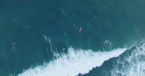 Aerial Slow Motion Drone View of Shorebreak and Driftwood El Salvador_LunaVista Stock Footage 243144629