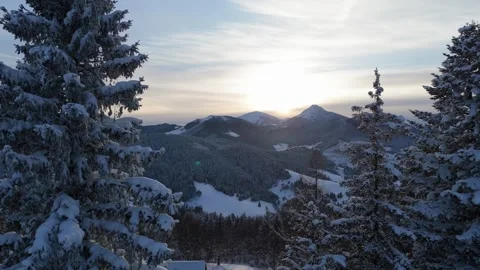 Aerial slow motion flying through snowy spruce trees towards winter mountain Stock Footage 336394457