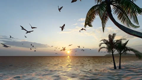 Aerial slow motion of seagulls flying on the beach Stock Footage 311059901