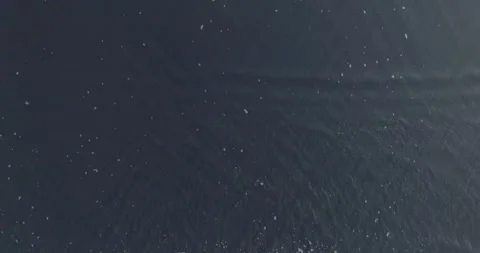 Aerial Slow Motion Top Down Drone View of Shorebreak El Salvador_LunaVista Stock Footage 243143770