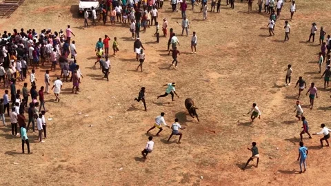 Aerial Slow Motion View of Catching Bull at Siravayal Manjuvirattu Festival 库存影片 330577857
