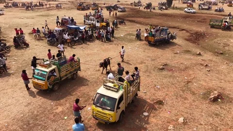 Aerial Slow Motion View of Catching Bull at Siravayal Manjuvirattu Festival Stock Footage 330578016