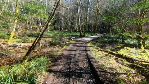 Aerial Slow Mud Path Trail, Puddles Farm Land Beautiful Spring Season Day Stock Footage 107416353