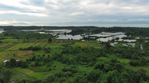 Aerial Slow Pan Left Over Coastal Fish Ponds 4k Stock Footage 337638595