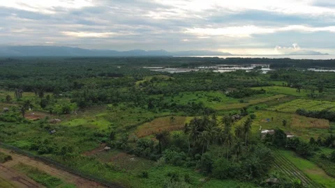 Aerial Slow Pan Left Over Scenic Tropical Coastline 4k Stock Footage 337638639