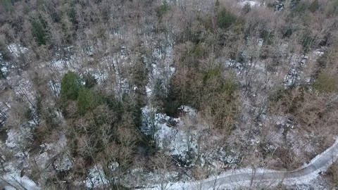 Aerial slow push over winter trees Stock Footage 86328347