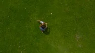 Aerial Slowmotion Shot Of A Father Circling His Son In His Arms On A Green Lawn Stock Footage
