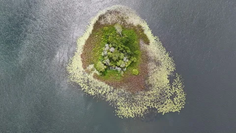 Aerial of a Small Island in a Cape Cod Lake Stock Footage 316490551