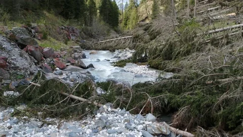 Aerial of small river and fallen trees, low flying over windfall after storm Video stock 132061477