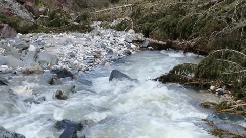 Aerial of small river and fallen trees, low flying over windfall after storm Stock Footage 132061582