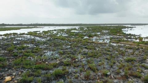 Aerial of a Small River in the Florida Keys Stock Footage 127000842