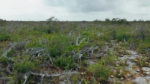 Aerial of a Small River in the Florida Keys Stock Footage 127001084
