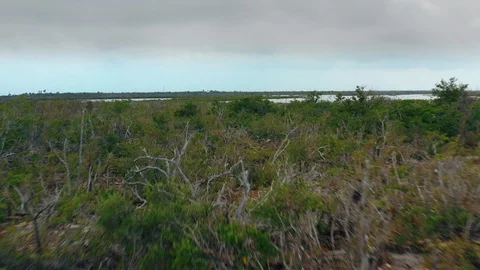 Aerial of a Small River in the Florida Keys Stock Footage 127002682