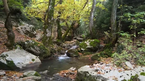 Aerial Small River Stock Footage 168476850