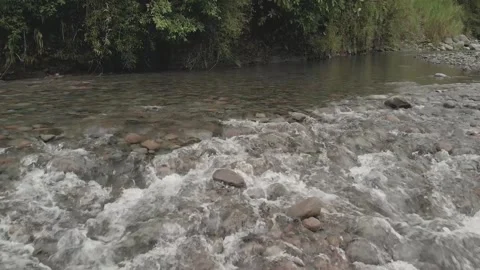 Aerial. Small river stream flowing peacefully. HD Video stock 139065061