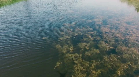 AERIAL: A small river. View from above. Flying drones Stock Footage 64718047