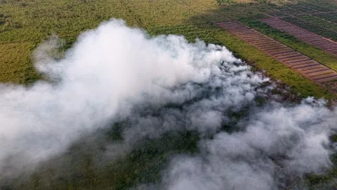 Aerial smoke rises over cleared forest land Stock-Footage 333033035