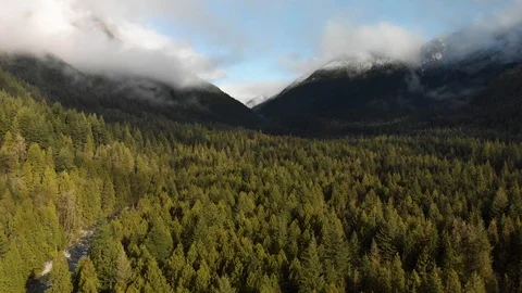 Aerial of snow capped mountains, pine trees with creek flowing along side Stock Footage 124440736