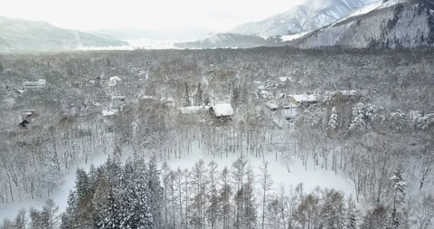 Aerial of Snow Covered Forest Video stock 90487251