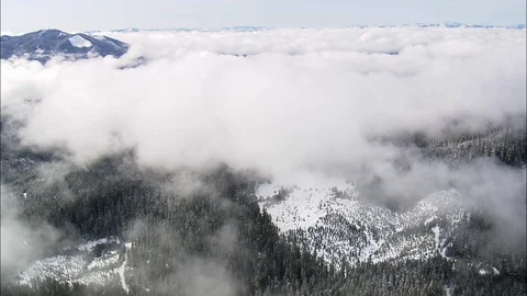 Aerial of snow covered pine forest and mountain ranges, Oregon Video stock 109152289