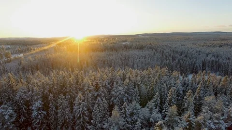 Aerial of a snow covered pine forest and frozen river during winter sunset Video stock 126975714