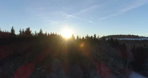 Aerial of snow covered Thuringian forest trees at dusk Stock Footage 116244807