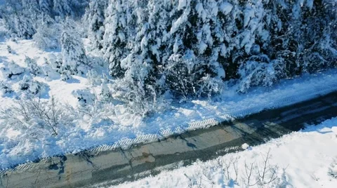 Aerial Snow Covered Trees Drone Footage Landscape Winter Nature Beautiful Europe Stock Footage