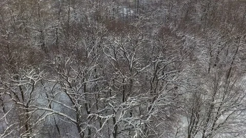 Aerial Snow Covered Trees Drone Footage Landscape Winter Nature Beautiful Europe Stock Footage 100732278