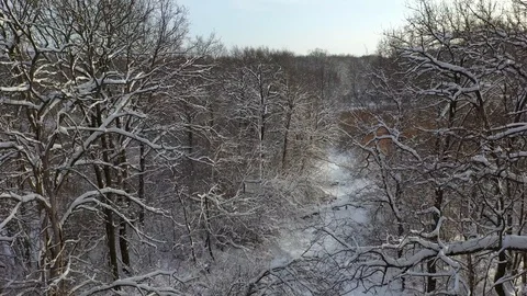 Aerial Snow Covered Trees Drone Footage Landscape Winter Nature Beautiful Europe Stock-Footage 100732427