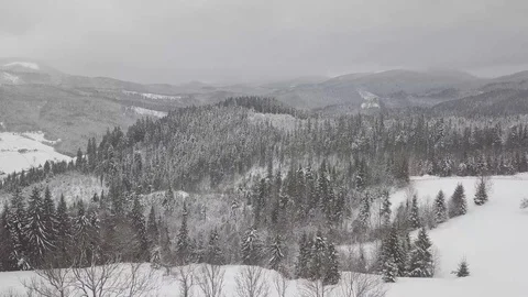 Aerial Snow Covered Trees Drone Footage Landscape Winter Nature Beautiful For Stock Footage 101438860