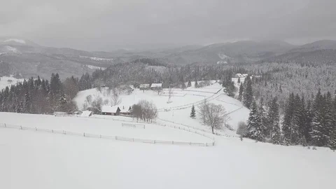 Aerial Snow Covered Trees Drone Footage Landscape Winter Nature Beautiful For 動画素材 101438866