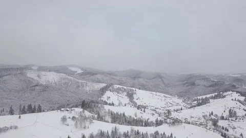Aerial Snow Covered Trees Drone Footage Landscape Winter Nature Beautiful For 動画素材 101438869