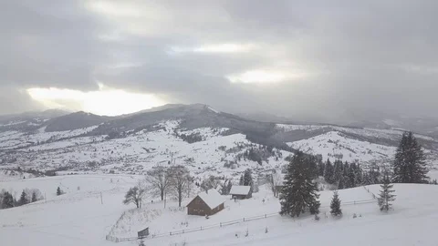 Aerial Snow Covered Trees Drone Footage Landscape Winter Nature Beautiful For 動画素材 101438871