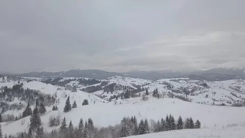 Aerial Snow Covered Trees Drone Footage Landscape Winter Nature Beautiful For 動画素材 101438872
