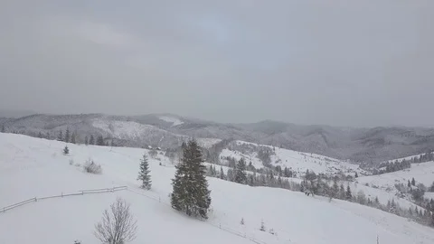 Aerial Snow Covered Trees Drone Footage Landscape Winter Nature Beautiful For 動画素材 101438880