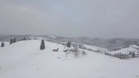 Aerial Snow Covered Trees Drone Footage Landscape Winter Nature Beautiful For 動画素材 101438886