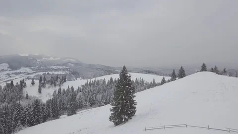 Aerial Snow Covered Trees Drone Footage Landscape Winter Nature Beautiful For 動画素材 101438897