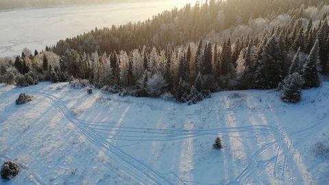 Aerial snow-covered trees shot on drone Stock Footage 100190168