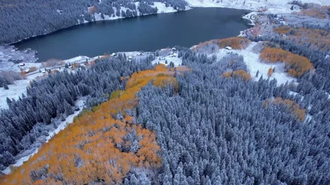 Aerial Snow Covered Trees Tilt Up Lake Mountain Landscape Stock Footage 256047925