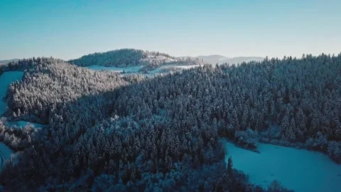 AERIAL: Snow Covered Trees, Winter Forest on Sunny Morning, Lens Flare Stock Footage 140295238