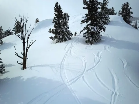 Aerial snow field view Stock Footage 75650632