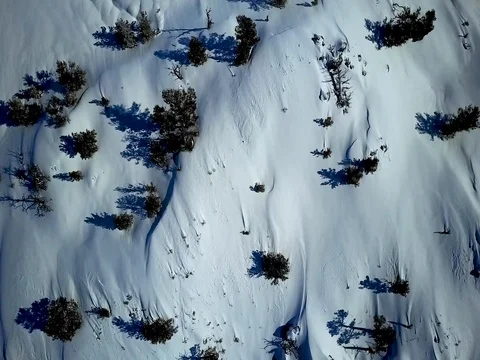 Aerial snow field view Stock Footage 75650726