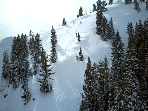 Aerial snow field view Stock Footage 75650790