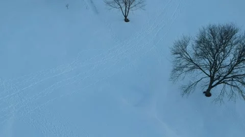 Aerial Snow Tracks Stock Footage