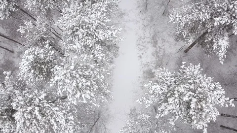 Aerial of snowfall over winter forest. Drone moves up Stock Footage 85715972