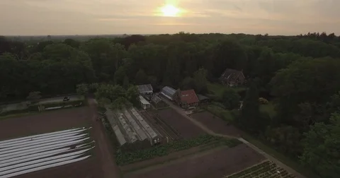 Aerial of solar panel installed barns, fields and tree plantation in the farm Stock Footage 73686587