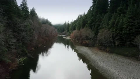 Aerial: South Fork Eel River in the Avenue of the Giants. USA Stock Footage 162298278